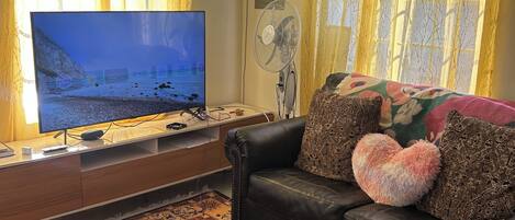 A living room with a television, a fan, a sofa, and a patterned rug.