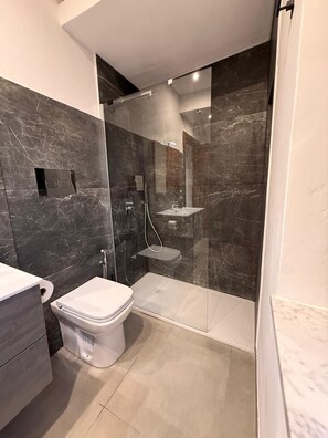 Regadera, secadora de cabello, bidet, toallas 