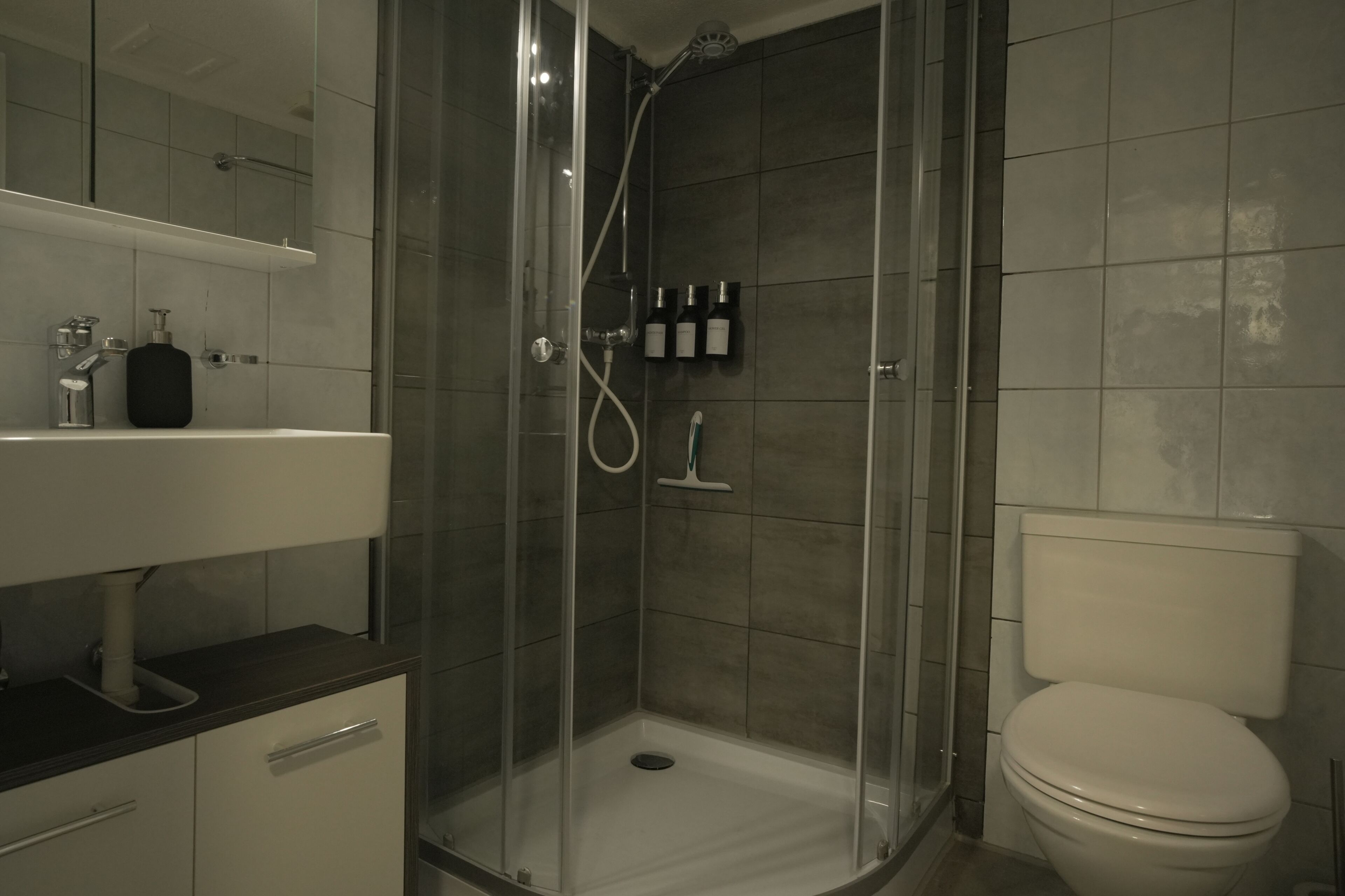 Haartrockner, Handtücher, Seife, Toilettenpapier