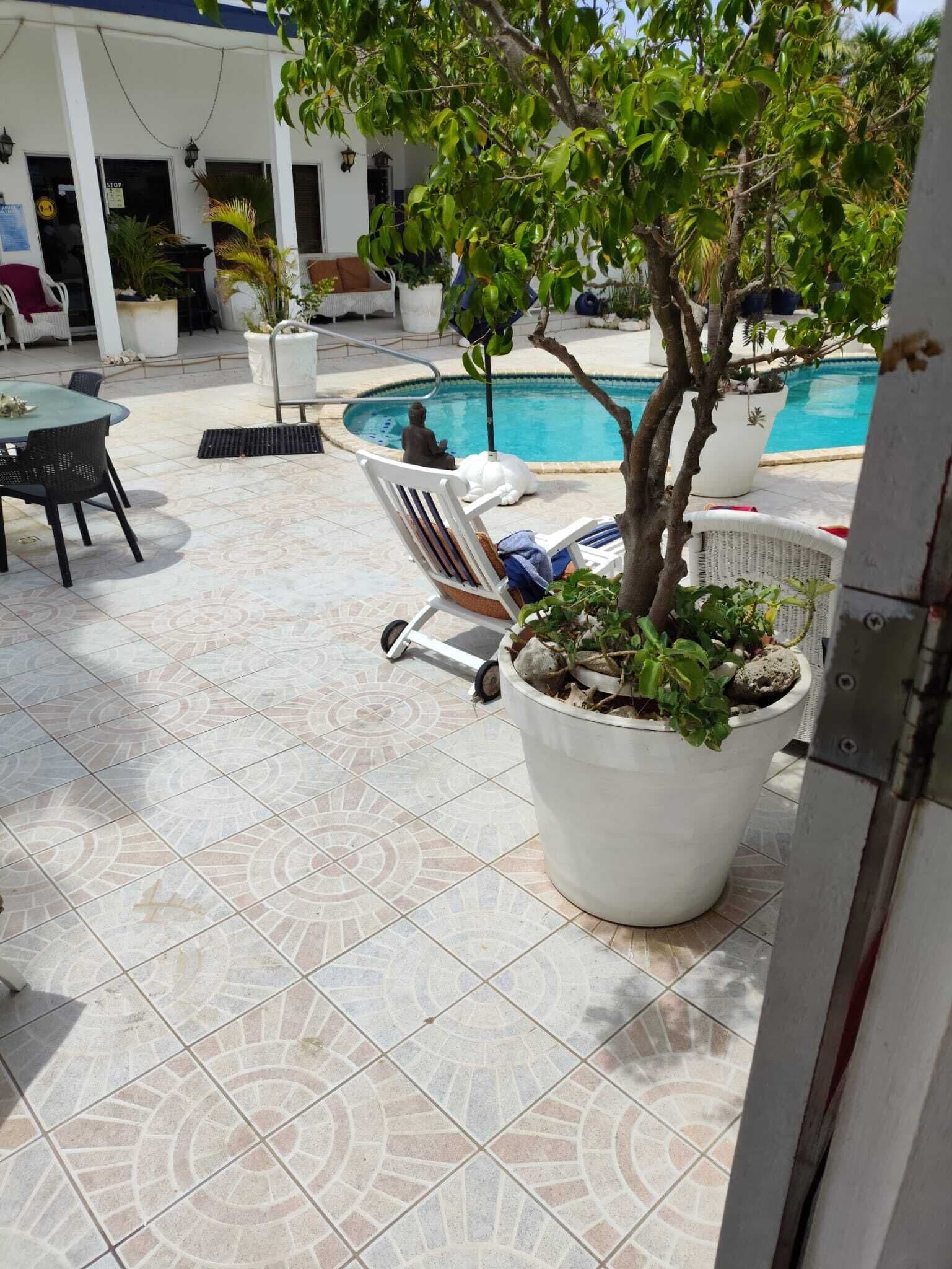 Zona de piscina con suelo de baldosas, sillas de descanso, una planta en maceta y una estatua.