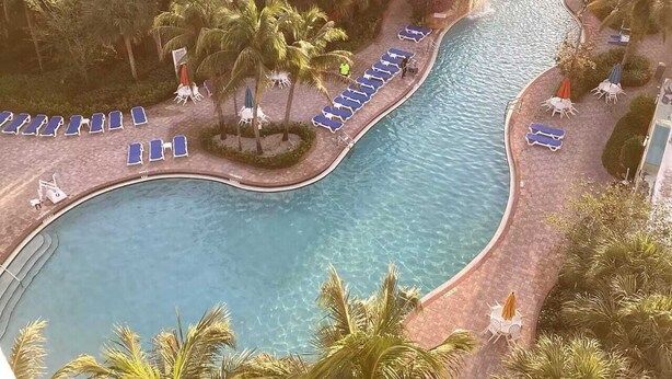 A pool with blue lounge chairs and palm trees. - "Luxury and Comfort in Miami: for Family Holidays, in front of Sawgrass Mills". (Weston)
