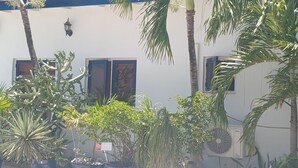 Ein Gebäude mit zahlreichen Fenstern, von denen einige mit Fensterläden versehen sind, umgeben von unterschiedlichen Pflanzen, darunter Kakteen und Palmen.