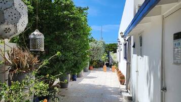 Shared Dormitory | Property grounds