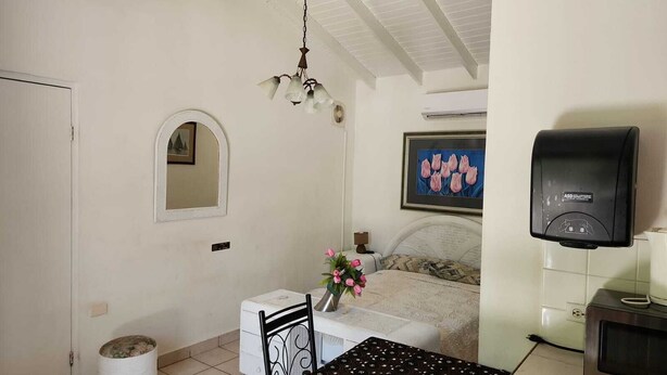 Une chambre à coucher avec un lit, une table de chevet ornée d’un vase de fleurs, un climatiseur fixé au mur et un tableau encadré au-dessus du lit.