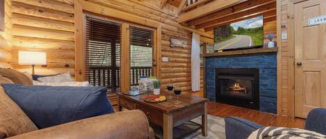TV, fireplace, video games, stereo