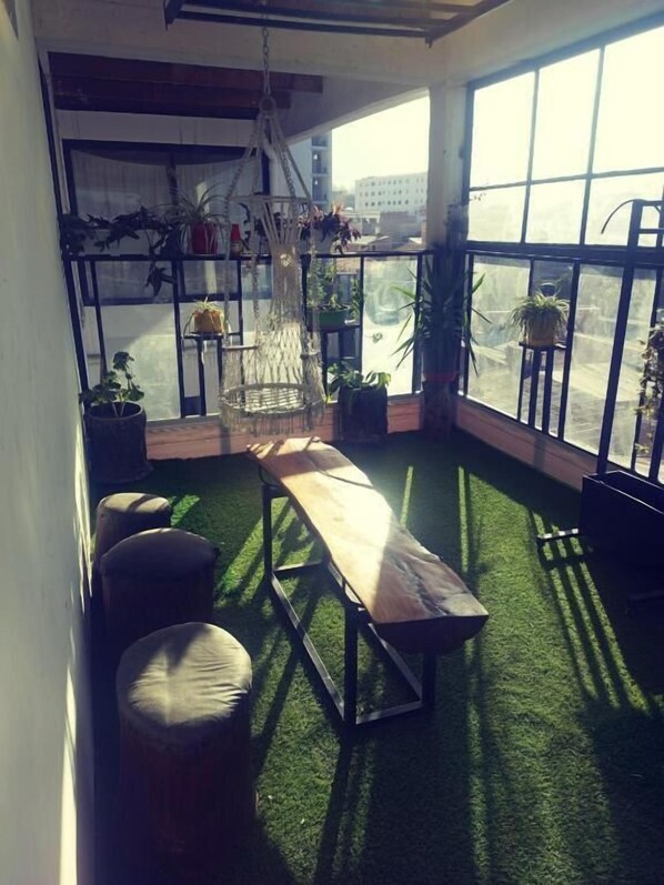 A room with a wooden bench, a hanging chair, and potted plants.