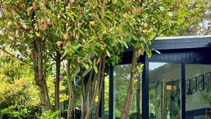 A modern building with large glass windows, surrounded by lush greenery and flowering plants. - Authentic timber house with forest near Ebeltoft (Ebeltoft)