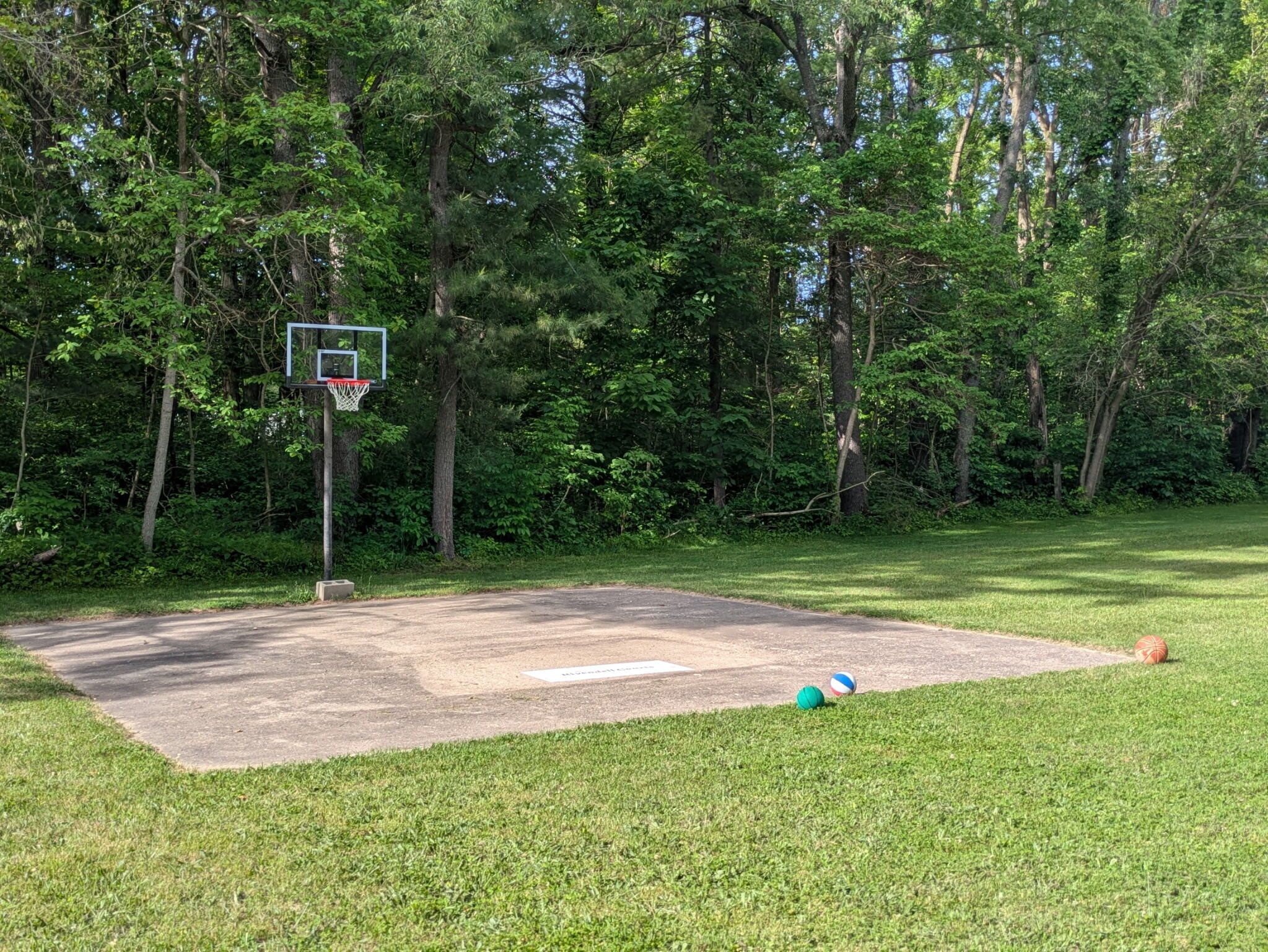 Una cancha de baloncesto con aro, rodeada de árboles.