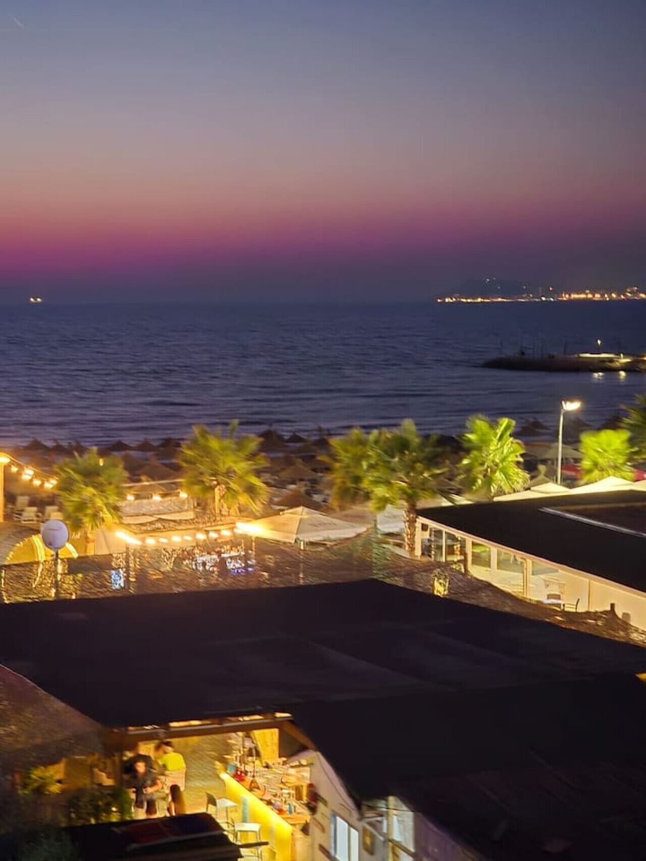 A beachfront property with a bar area, palm trees, and a view of the sea at dusk.
