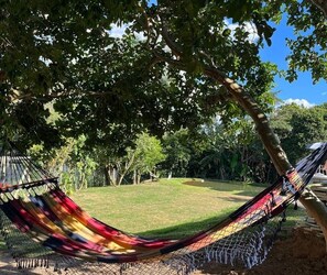A hammock under a tree in a grassy outdoor area.