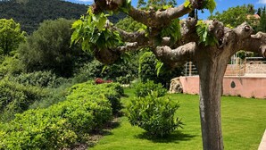 A well-maintained garden with a variety of plants and a large tree. - Fully renovated villa in Provence, with large pool and spectacular valley view (Bargemon)