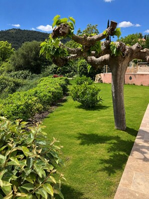 Ein gepflegter Garten mit vielfältigen Pflanzen und einem großen Baum.