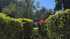 A garden path surrounded by lush greenery and trees. - L'Ecrin Lolita Cannes - Exceptional (Cannes)