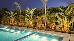 Una piscina amb vora de rajola, envoltada de plantes i arbres tropicals.