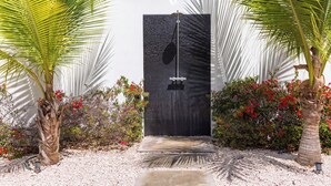 Un espace de douche extérieur moderne, avec un mur recouvert de carreaux noirs, entouré de palmiers et d’arbustes en fleurs.