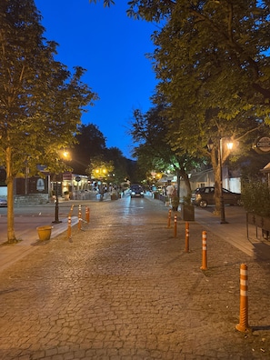 Eine von Bäumen und Laternen gesäumte Kopfsteinpflasterstraße, die zu einem Gebäude mit einem Schild führt.