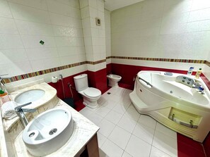 Ducha, bañera de hidromasaje, secador de pelo, bidet