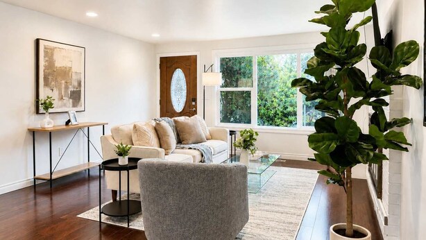 A modern living room with a sofa, coffee table, and a potted plant. - Bellevue 2323, Whole house, Fenced Yard (Bellevue)