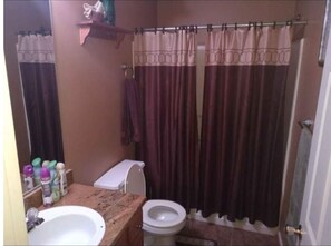 Soap, toilet paper - Charming 1-bedroom house with AC in cozy Jonesboro, with pool, fire pit  & yard (Jonesboro)