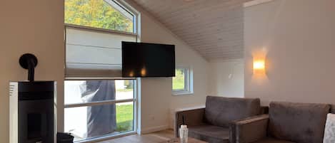 A modern living room with a fireplace, a flat-screen TV, a sofa, and a coffee table.