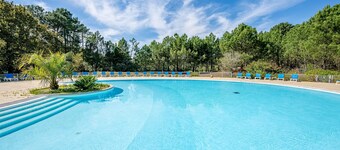 Scenic Pine Forest Apartment for 4