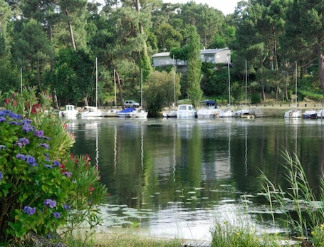 Apartamento | Vista da propriedade. Scenic Pine Forest Apartment for 4