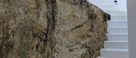 Terrain de l’hébergement