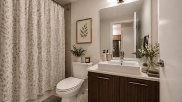 Hair dryer, towels, soap, toilet paper