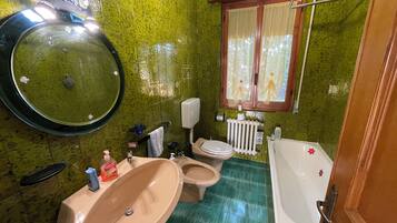 Shower, hair dryer, bidet, towels