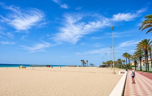 Ein Strand mit gepflastertem Weg, Palmen und blauem Himmel.