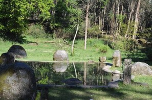 Property grounds - Casa do Arte - Peaceful Retreat with Pool (São Torcato)