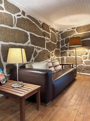 TV, fireplace, books - Casa do Arte - Peaceful Retreat with Pool (São Torcato)