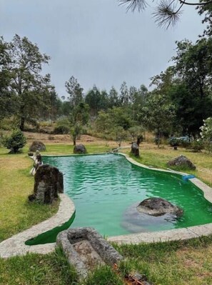 Outdoor pool - Casa do Arte - Peaceful Retreat with Pool (São Torcato)