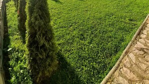 Un prato erboso con un muro di pietra e alberi, un edificio in pietra e una collina sullo sfondo.