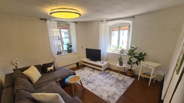 A living room with a sofa, TV, small table, and potted plants. - Baroque-Era Vacation Home (Neumagen-Dhron)
