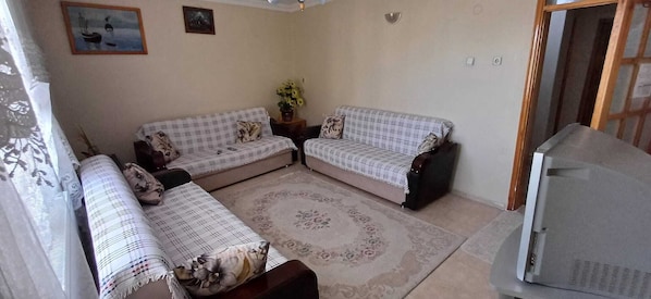 A living room with two sofas, a small table with a vase, and a television.