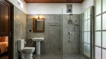 Hair dryer, towels, toilet paper