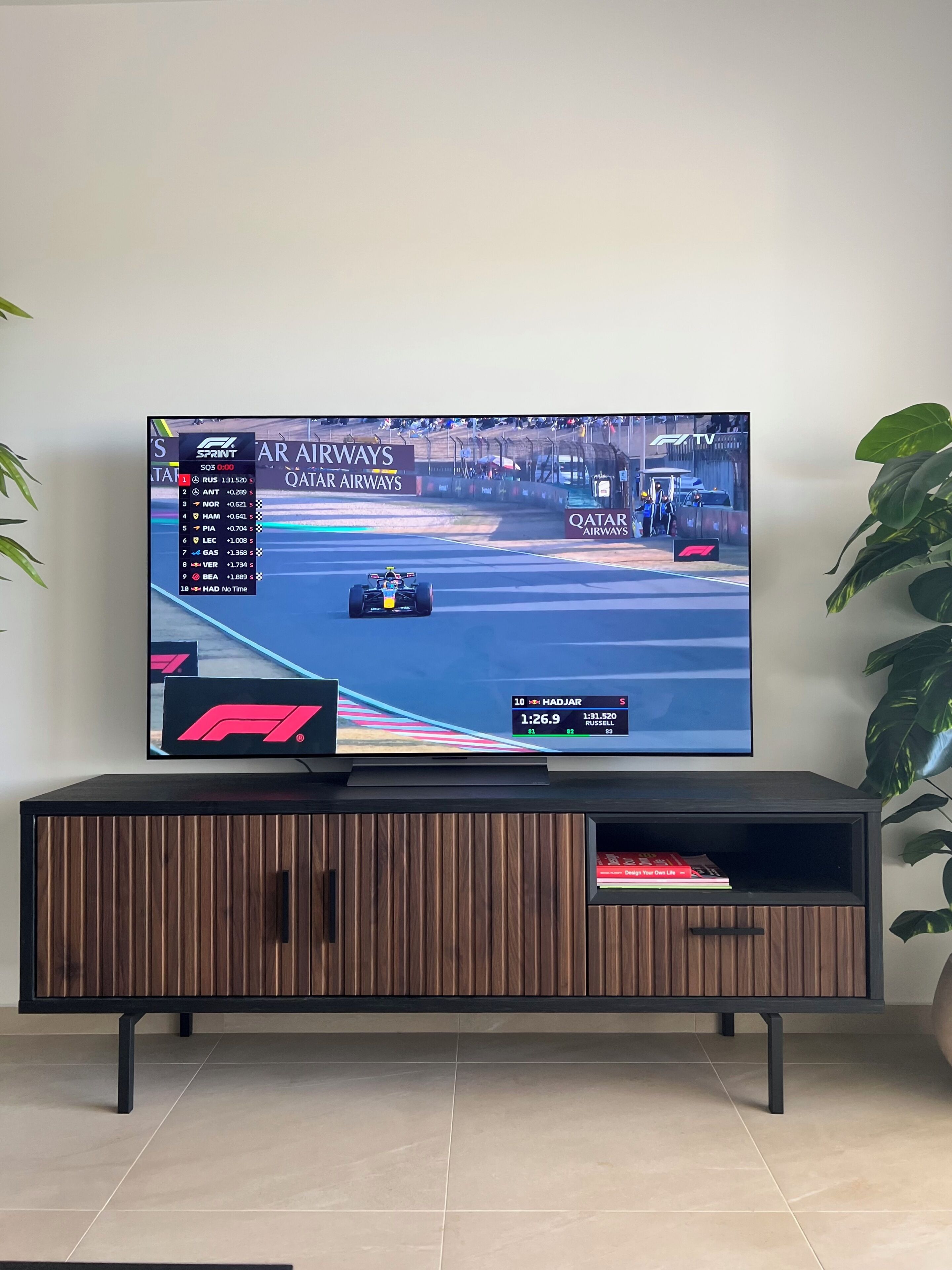 A television displaying a Formula 1 race, a wooden cabinet below, and a potted plant to the right.