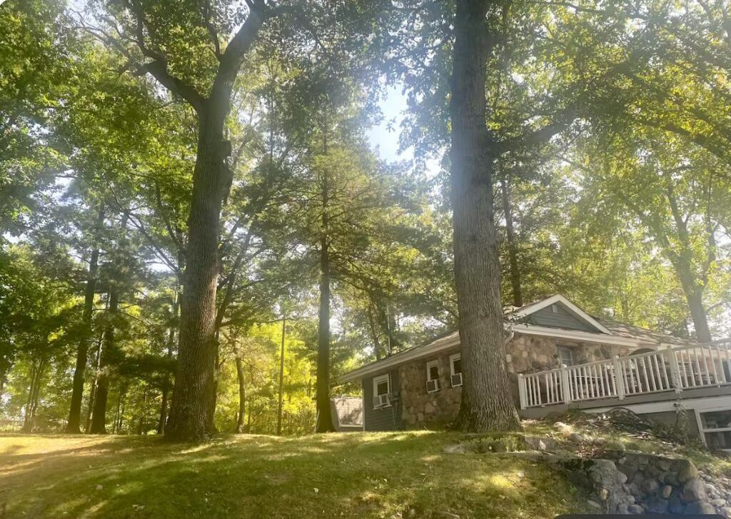 A stone house with a white fence, surrounded by tall trees and a grassy yard.