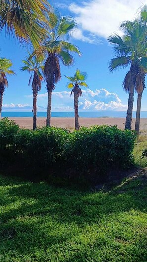 A beach with palm trees and a clear sky. - PEPA'S PARADISE (BEACH) (Benicassim)