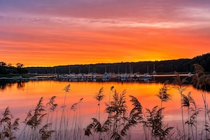 A marina with boats docked, calm water, and reeds in the foreground.