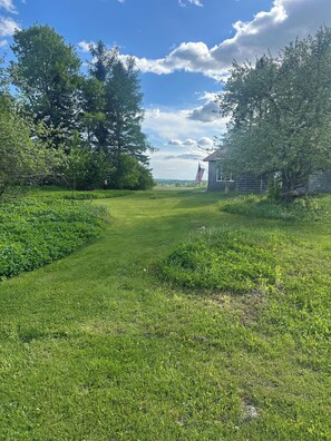 A grassy field with trees and a small building in the distance.