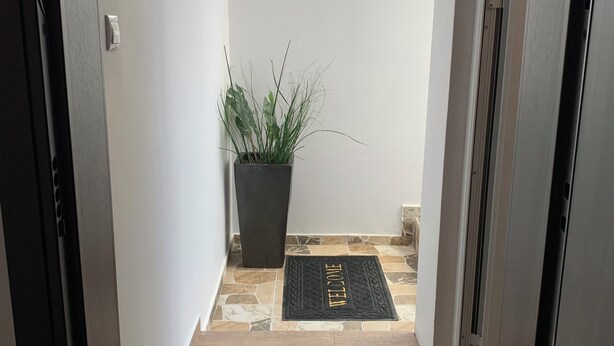 Um corredor com tapete de boas-vindas, um vaso de planta e uma janela com vista para o verde.
