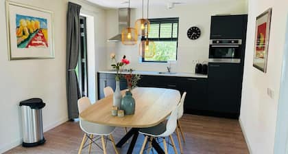 Villa in Tholen With Private Garden