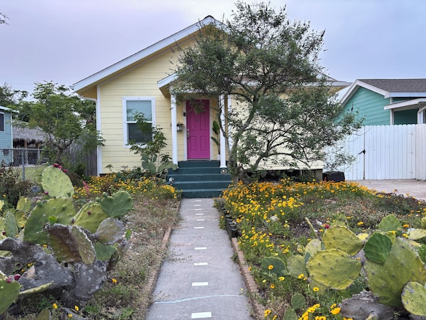 Une maison avec une porte rose, un porche et un jardin agrémenté de cactus et de fleurs jaunes.