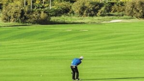 Un terrain de golf avec un mât de drapeau, un golfeur vêtu de bleu, et un paysage en arrière-plan composé d’arbres et d’arbustes.