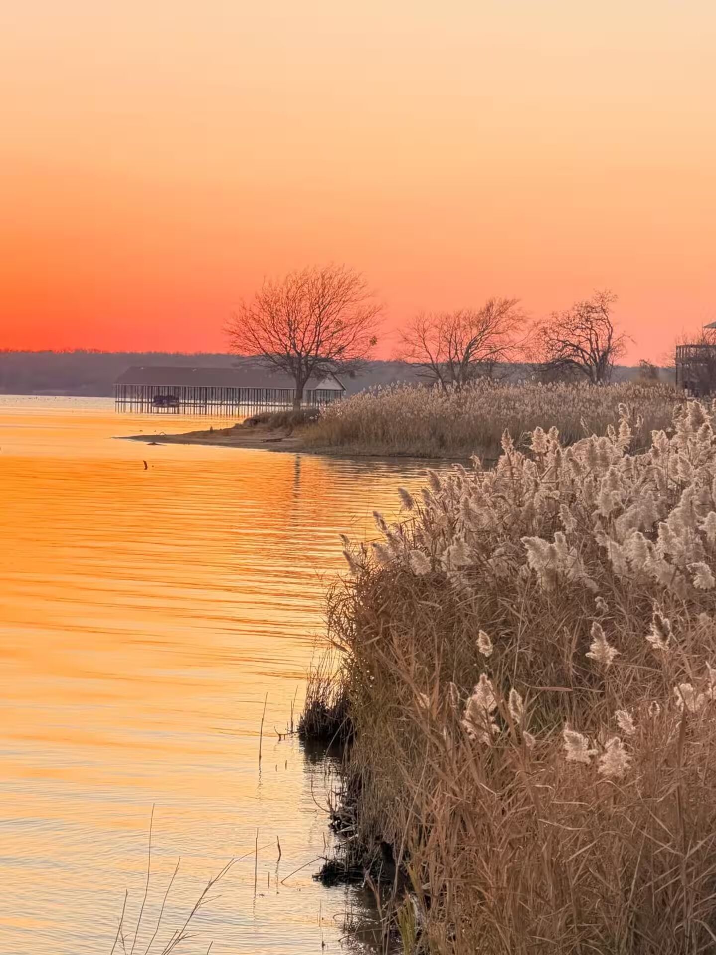 Una escena serena junto al lago al atardecer, con un muelle, juncos y árboles.