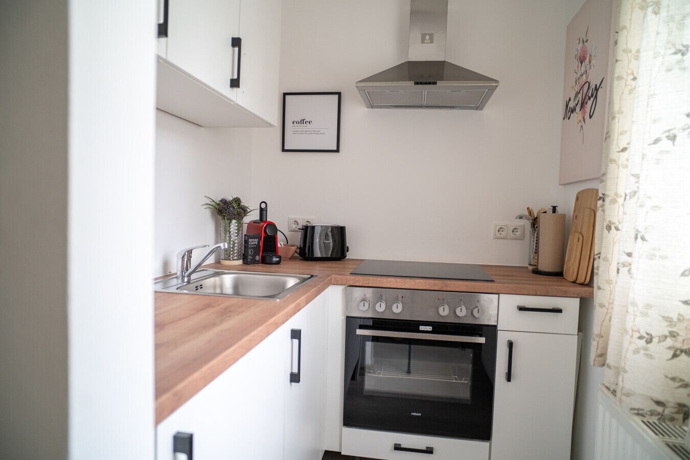Fridge, oven, stovetop, dishwasher