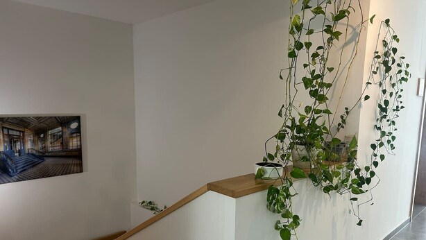 A staircase with a wooden handrail, a wall-mounted plant, and a framed picture. - FarawayHomes Aparthotel Kremsmünster #25 (Kremsmünster)