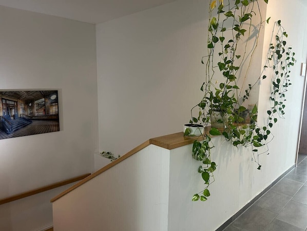 A staircase with a wooden handrail, a wall-mounted picture, and a hanging plant.